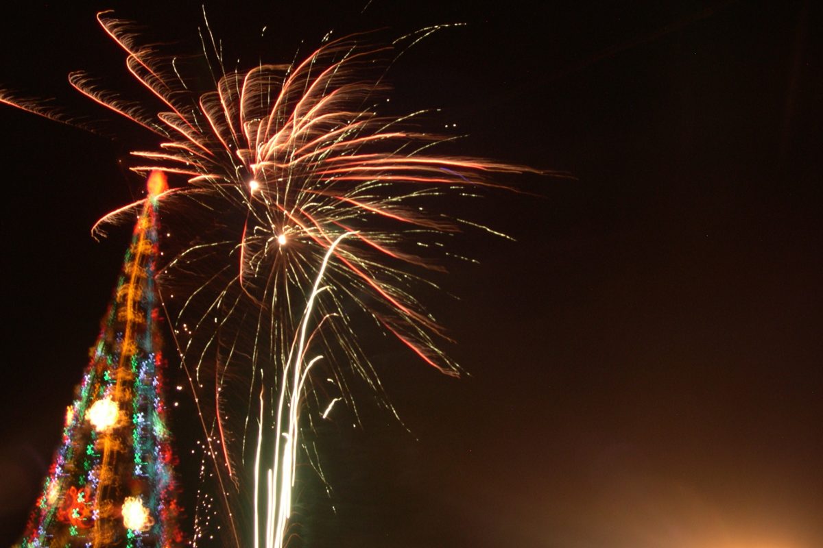 Fireworks over a lit tree at night — Private Estate New Year's Eve