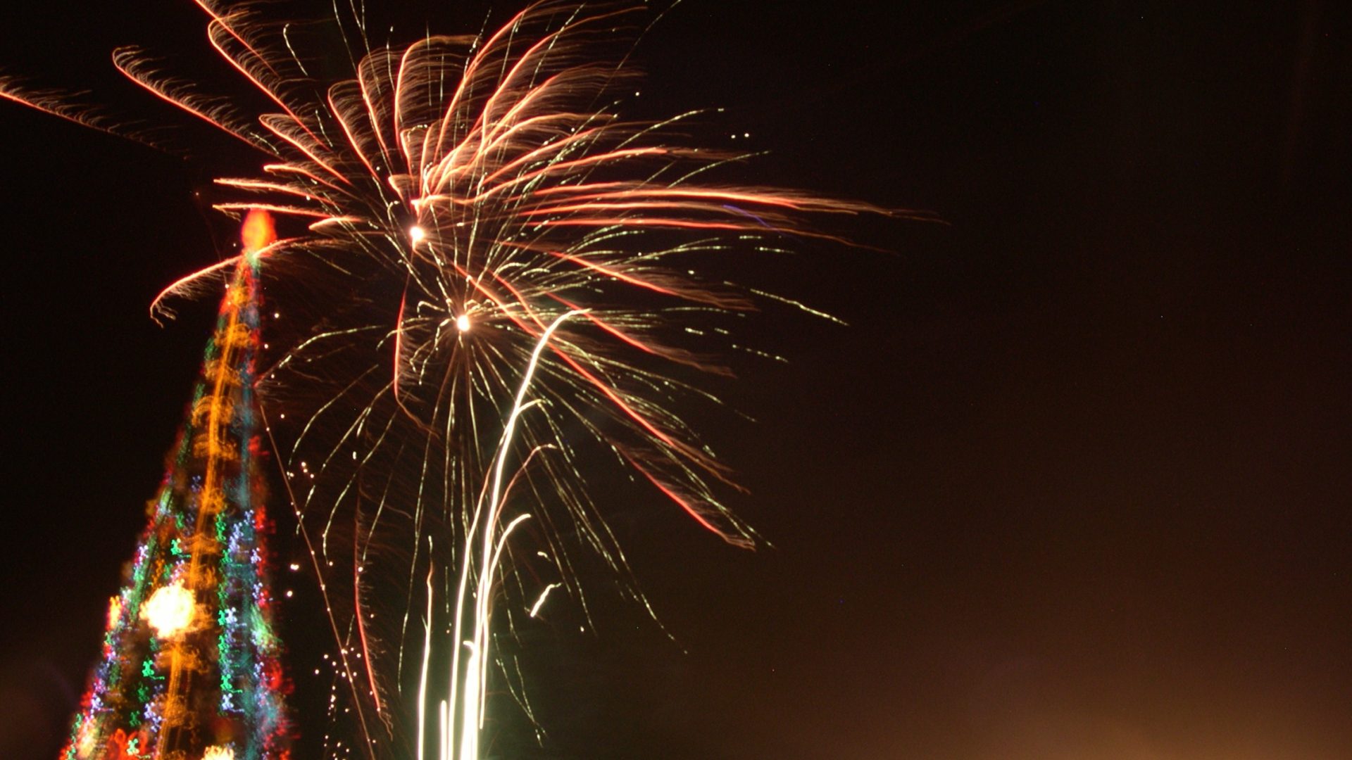 Fireworks over a lit tree at night — Private Estate New Year's Eve